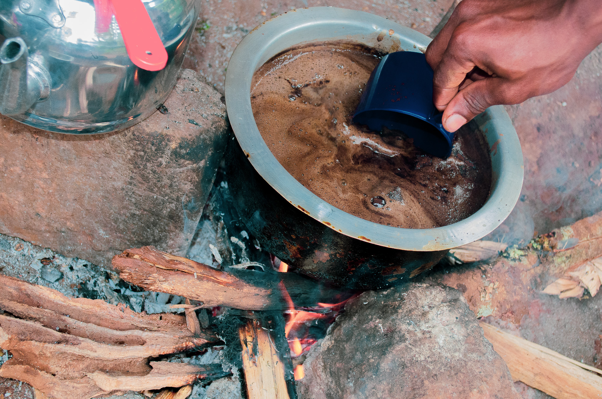 El Poder Revitalizante de la Sábila con Jengibre y Canela: Un Elixir Natural