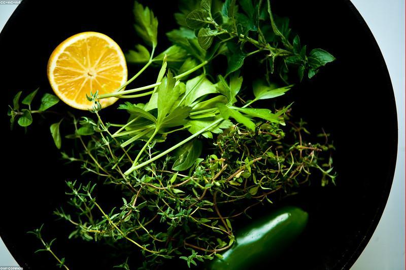 Infusión de Pelos de Elote, Perejil y Limón: Un Aliado Natural para la Salud Renal