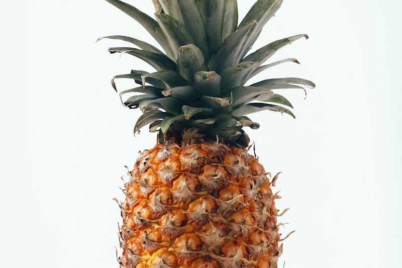 Infusión Diurética y Metabólica: El Secreto Natural para un Bienestar Óptimo